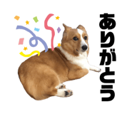 765674042