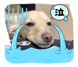 765674799