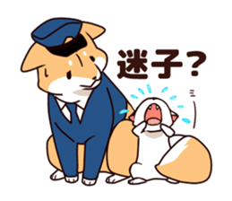 7656772