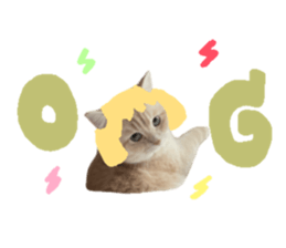 765678487