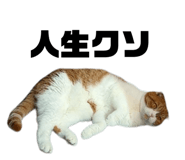 765681091