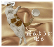 765681099