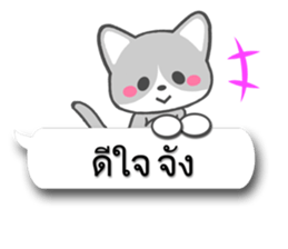 7656904