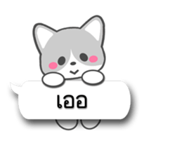 7656905