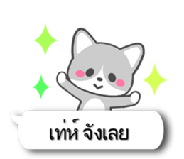 7656907
