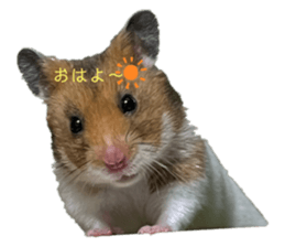 765692257