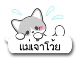 7656923