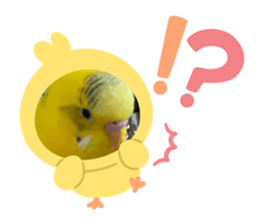 765696556