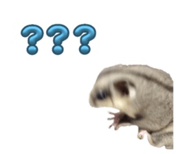 765703555