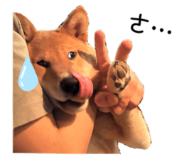 765706753