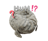 765707113
