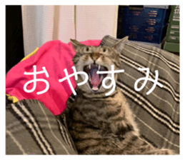 765708087