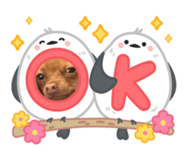765708850