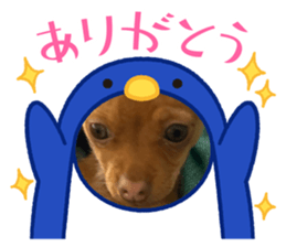 765708866