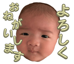 765709006