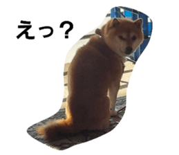 765709668