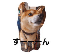 765709672