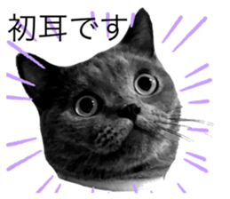 765719849