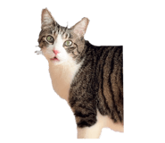 765726668