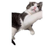 765726680