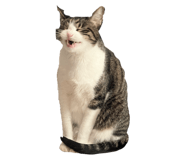 765726688