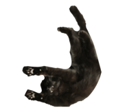 765726698
