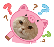 765728259
