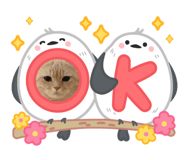 765728269