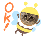 765728273