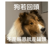 765728960