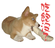765729054