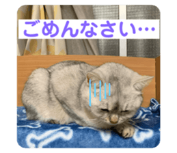 765730068