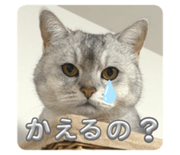 765730077