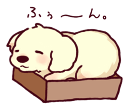 7657303