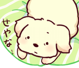 7657304