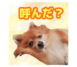 765730535