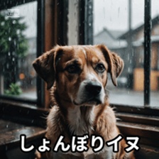 765735725