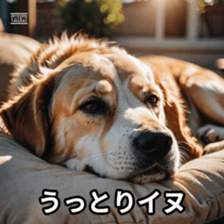 765735726