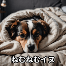 765735734
