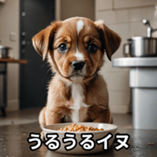 765735738
