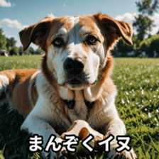 765735745