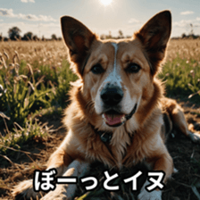 765735746