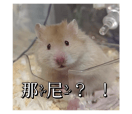 765758681