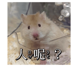 765758685