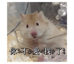 765758688