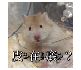 765758691