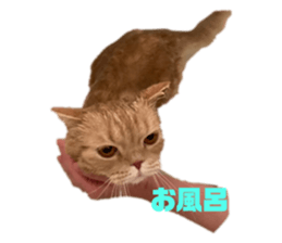 765761782