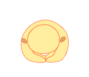 765776670