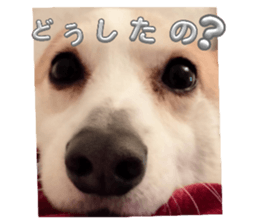 765778003