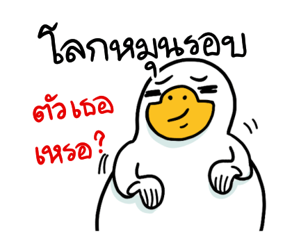 ลายที่ 11